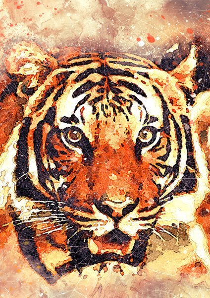 Tiger a4