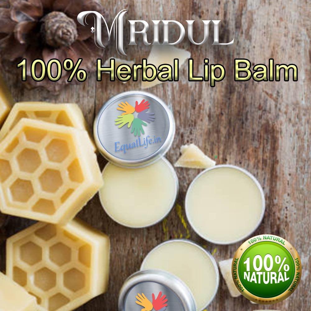 Mrudul Mridul Lip Balm-10 Grams-by The Natural-EL1811106 - Equal Life ...