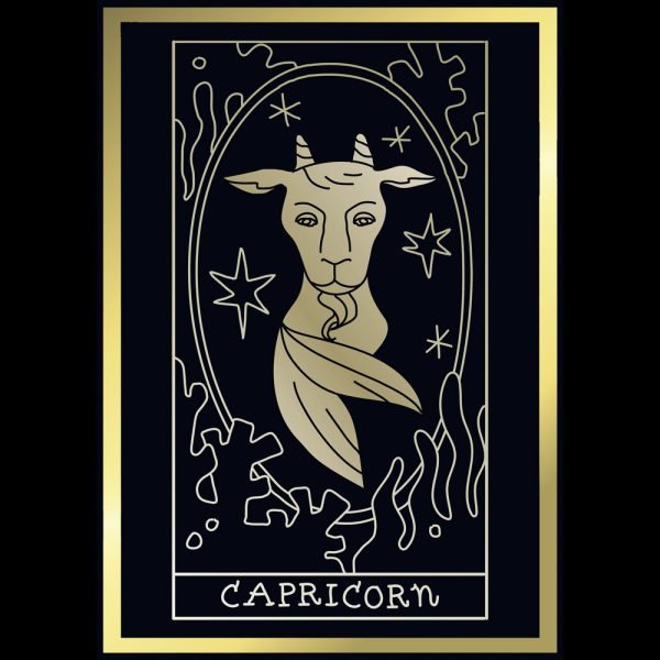 Zodiac capricon 1 bl d