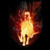 Flame 2 bl d