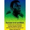 Pele 3 wh d