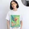 Holi3 wh w