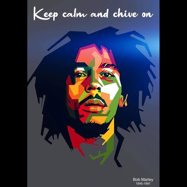 Bob7 bl d