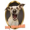 Dog10 wh d