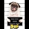 Dog11 bl d