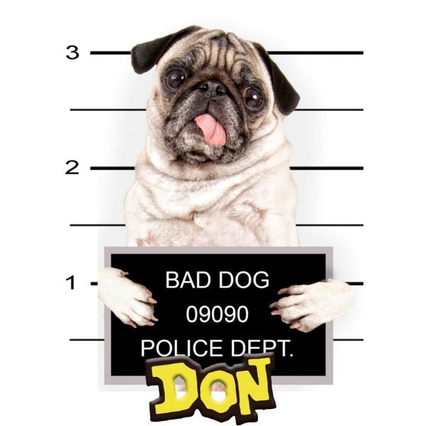 Dog11 wh d