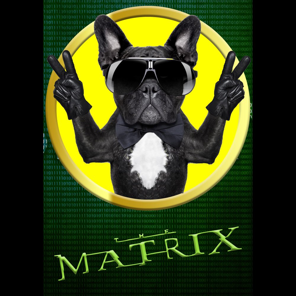 Pure Cotton Bio-Washed T-Shirt Chest Printed-Slogan Funny Dog-The Matrix-Design-13-by ZingerTees-Unisex-EL9120464 - Image 10