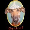 Dog15 bl d