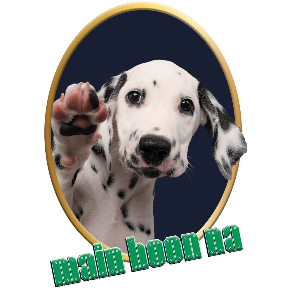 Pure Cotton Bio-Washed T-Shirt Chest Printed-Slogan Funny Dog-Main Hoon Na-Design-17-by ZingerTees-Unisex-EL9120468 - Image 9