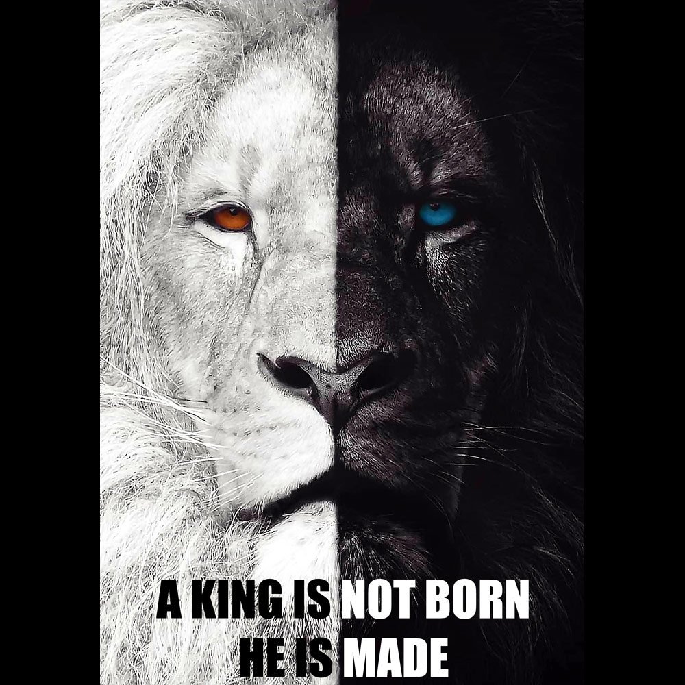 Pure Cotton Bio-Washed T-Shirt Chest Printed-Inspirational Slogan-Design-9-by ZingerTees-Unisex-EL9120399 - Image 9