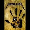 Metal2 bl d