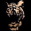 Tiger4 Mas