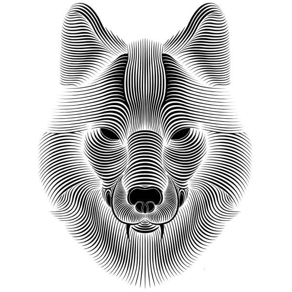 Wolf 1 Wh D